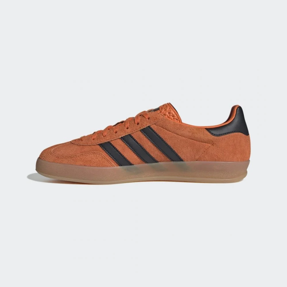 Gazelle Indoor - Image 2