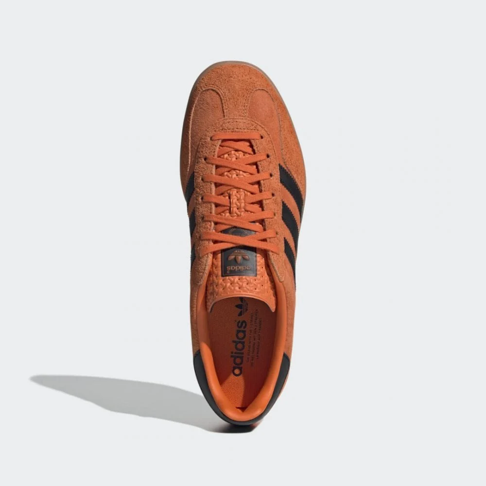 Gazelle Indoor - Image 3