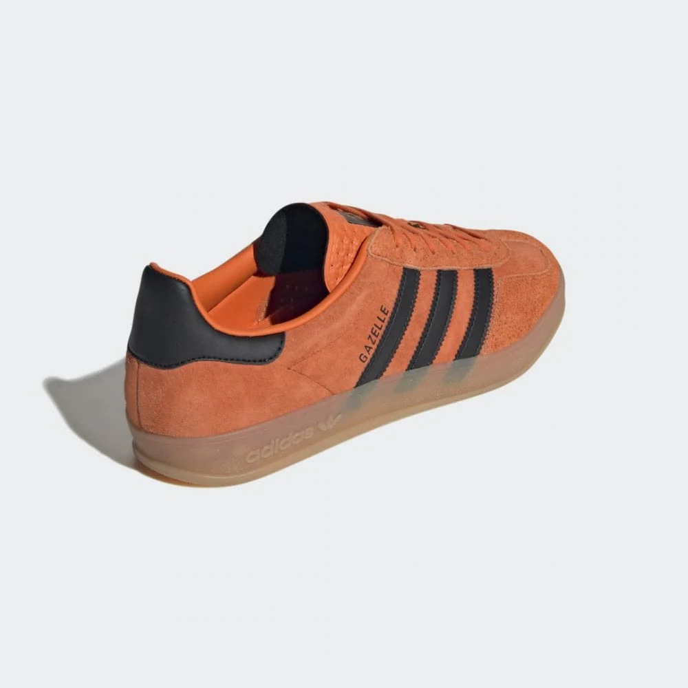 Gazelle Indoor - Image 6