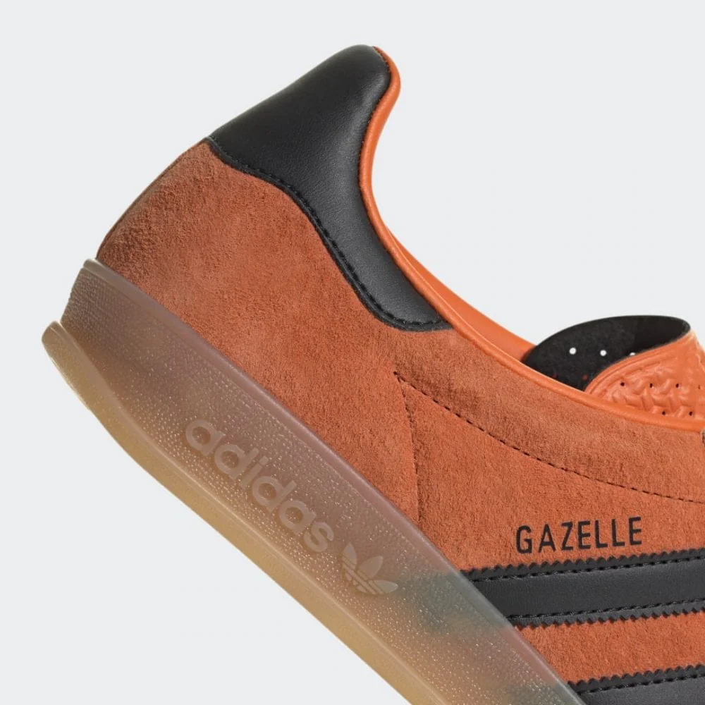 Gazelle Indoor - Image 8
