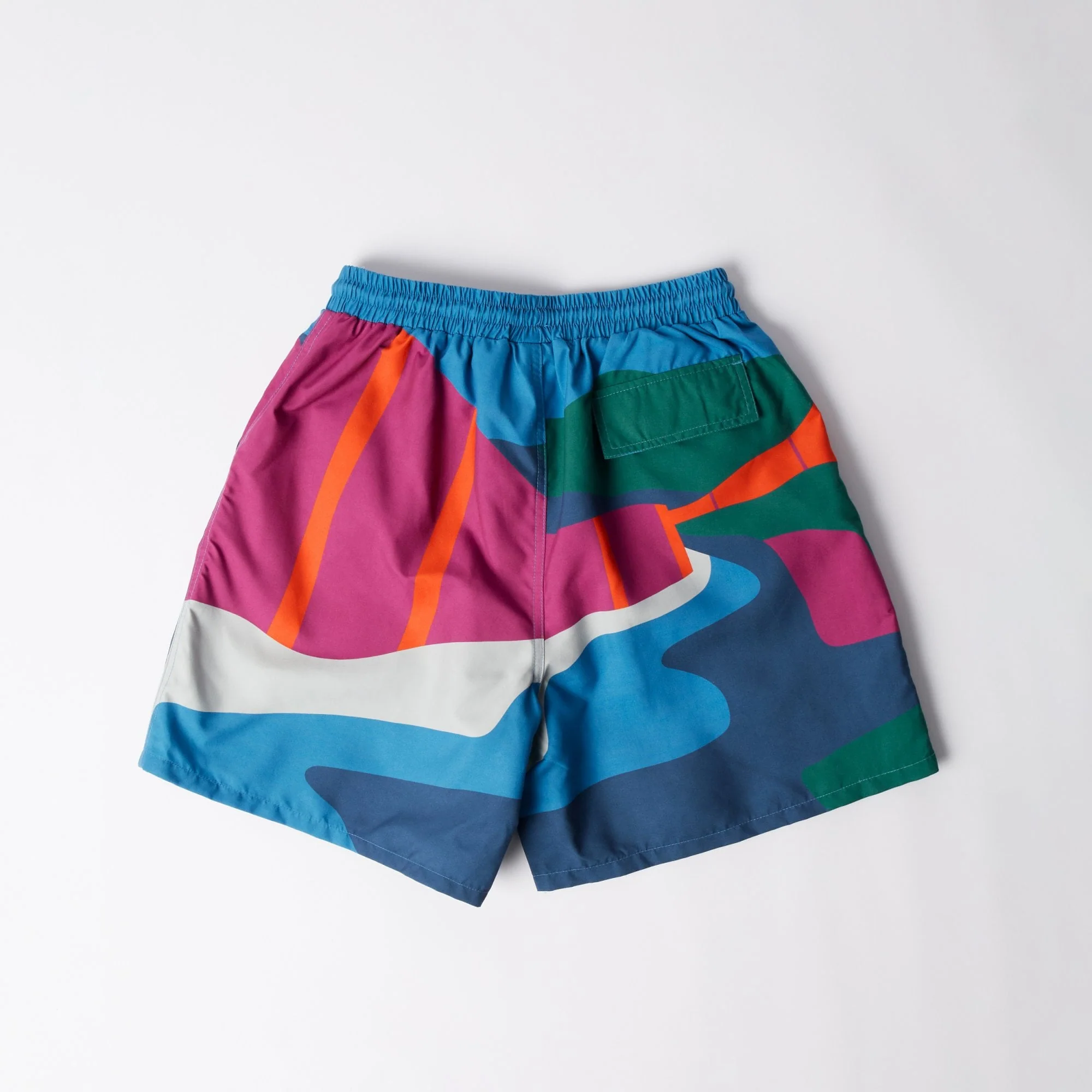 The Festival Fence Swim Shorts - Image 2