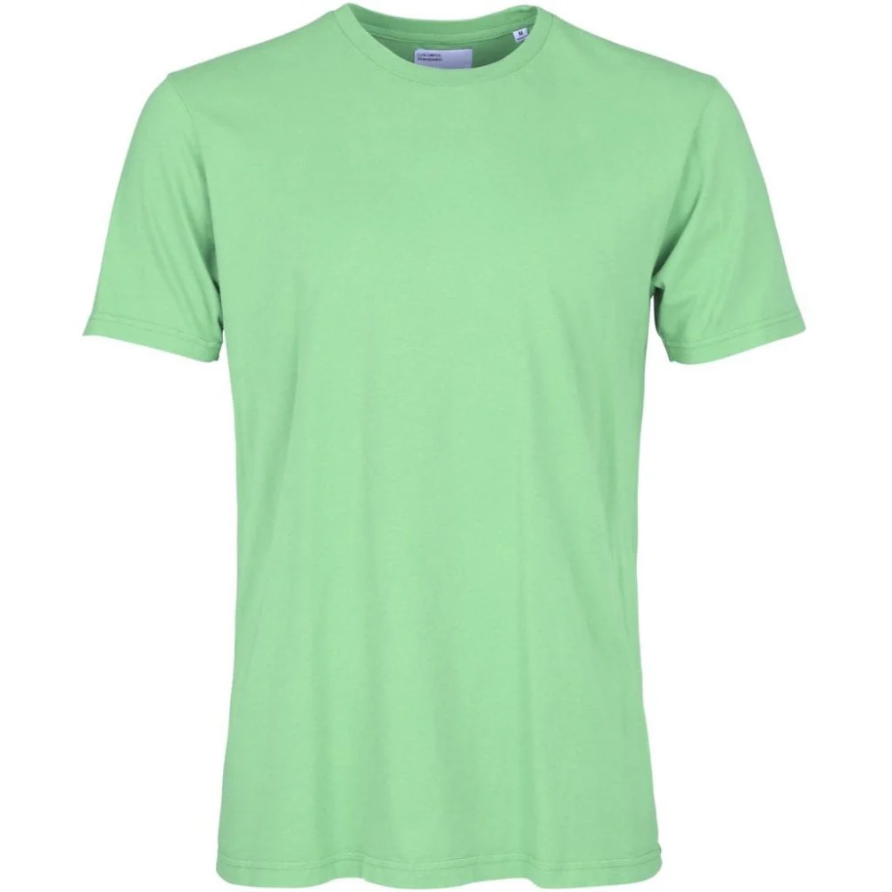 Classic Organic Tee - Faded Mint
