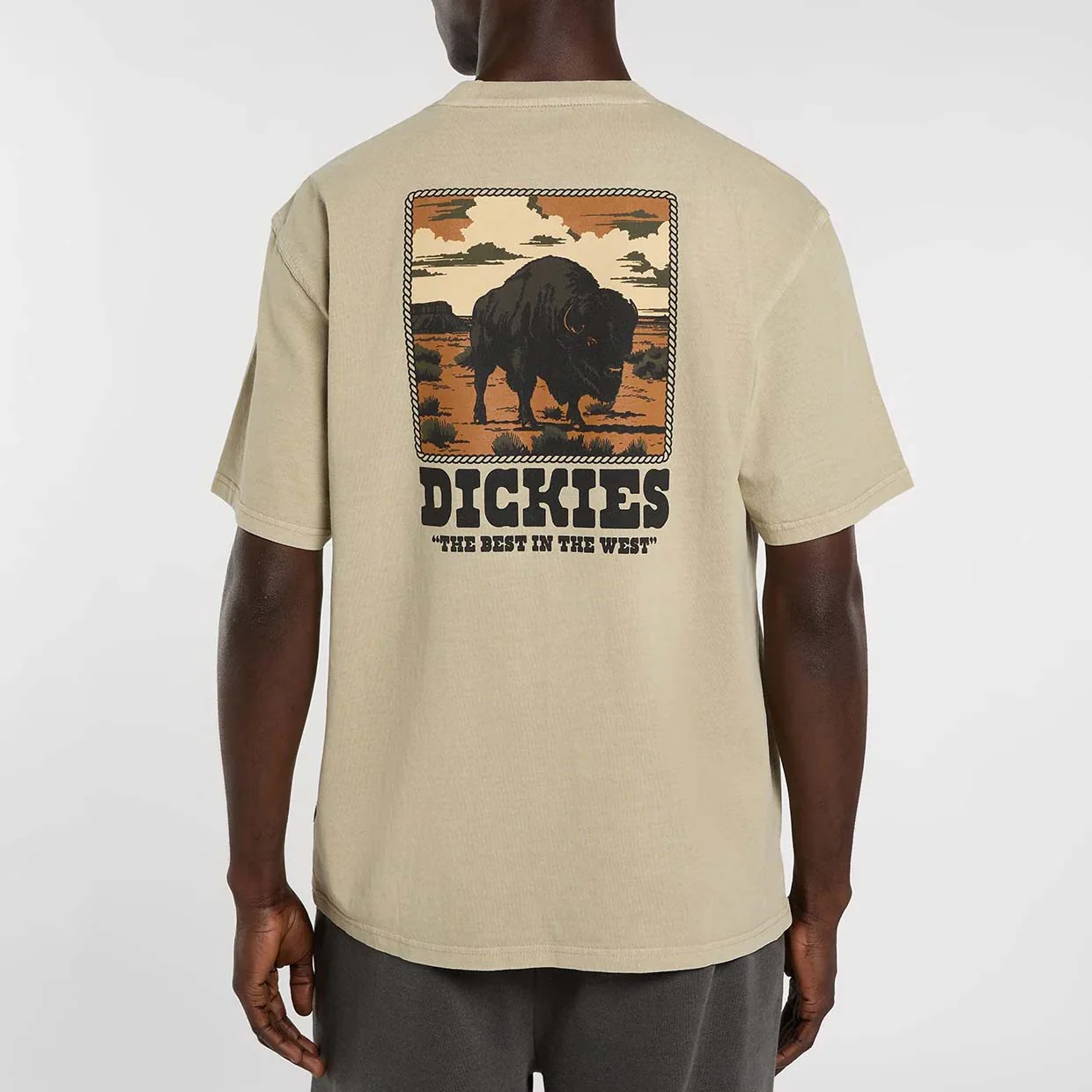 Darrtown SS Tee - Eucalyptus - Image 4
