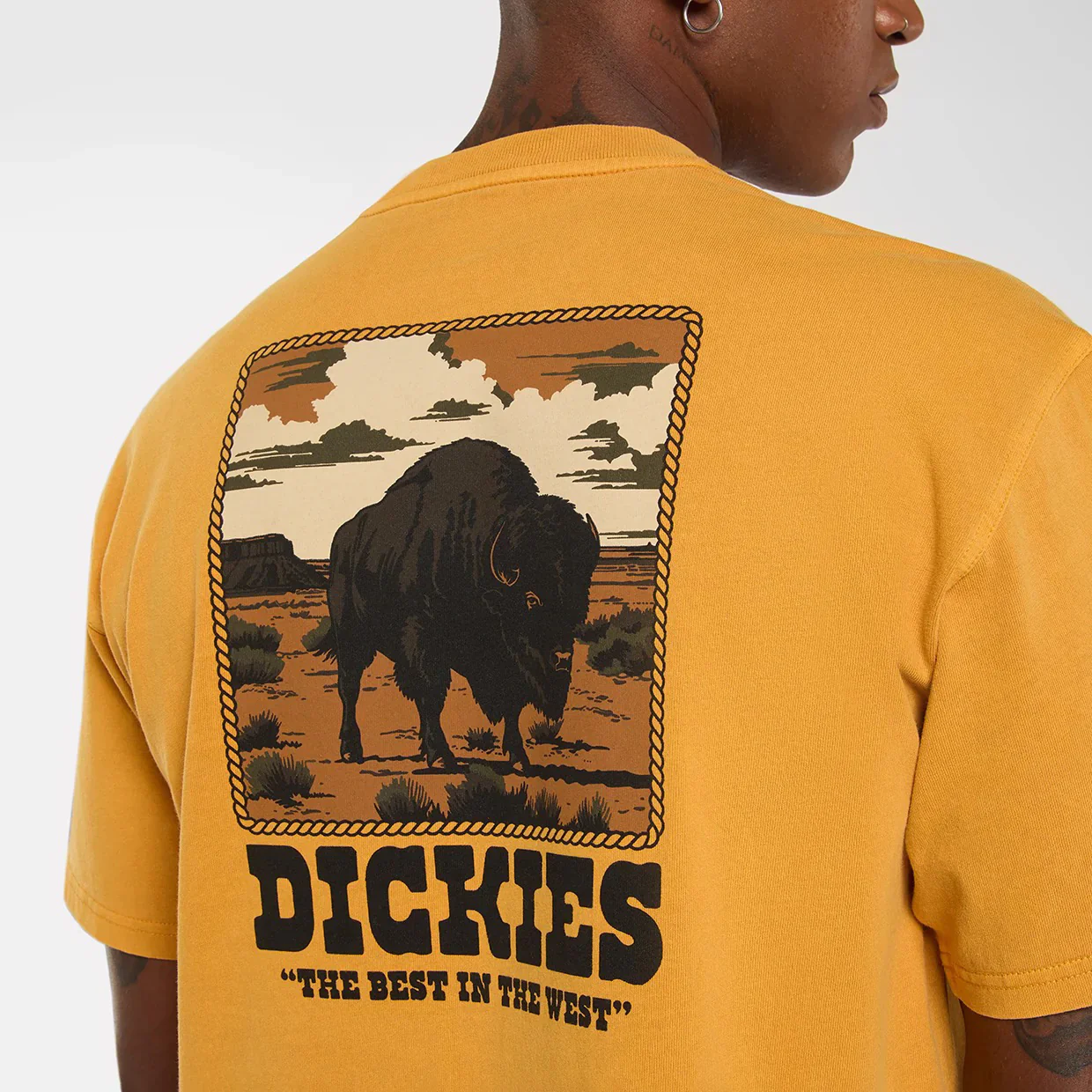 Darrtown SS Tee - Sunflower - Image 6