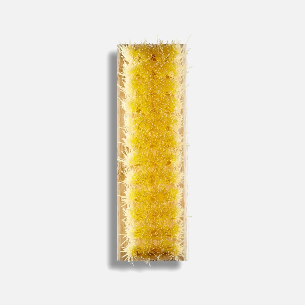 Standard Shoe Cleaning Brush - Image 3