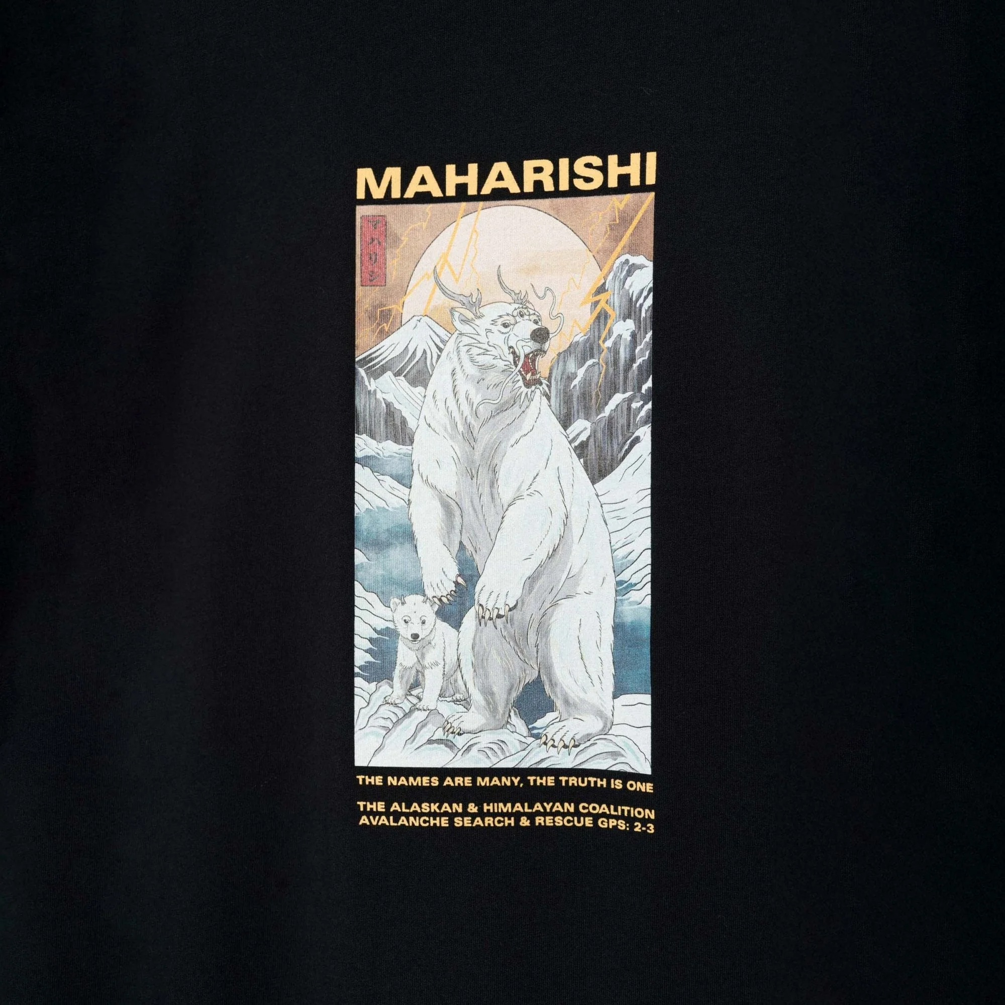 2211 Alaskan Polar Bears T-shirt - Image 2